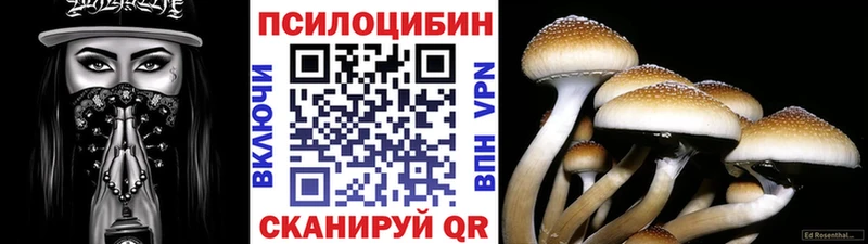 Галлюциногенные грибы прущие грибы  закладки  Вытегра 
